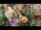 Kreasi Unik Alat Musik Ukulele di Bandung - NET12