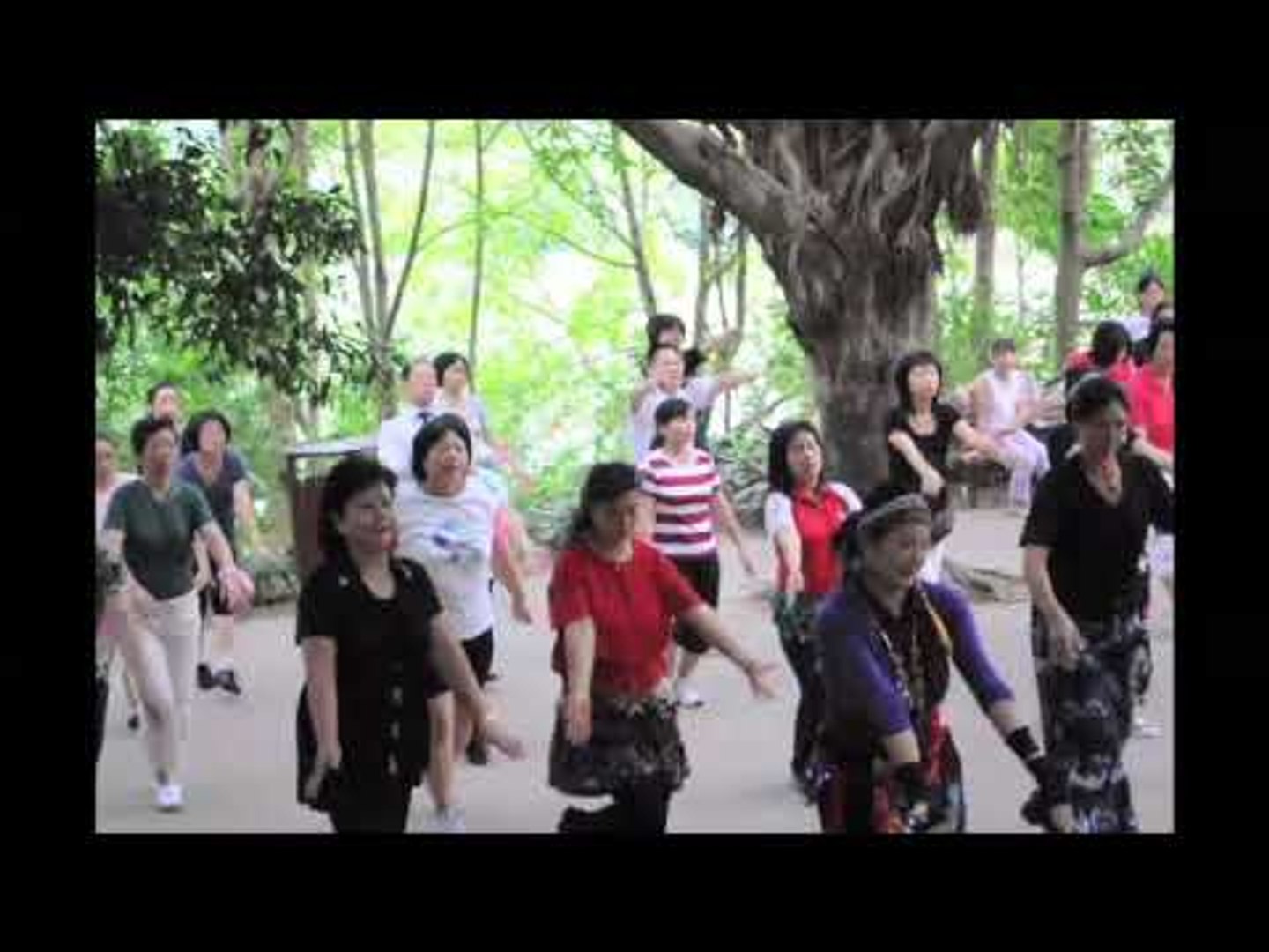Rough Cut: Lian Hua Mountain Garden