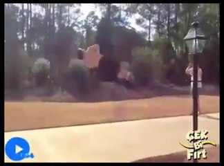 eğlenceli görüntüler