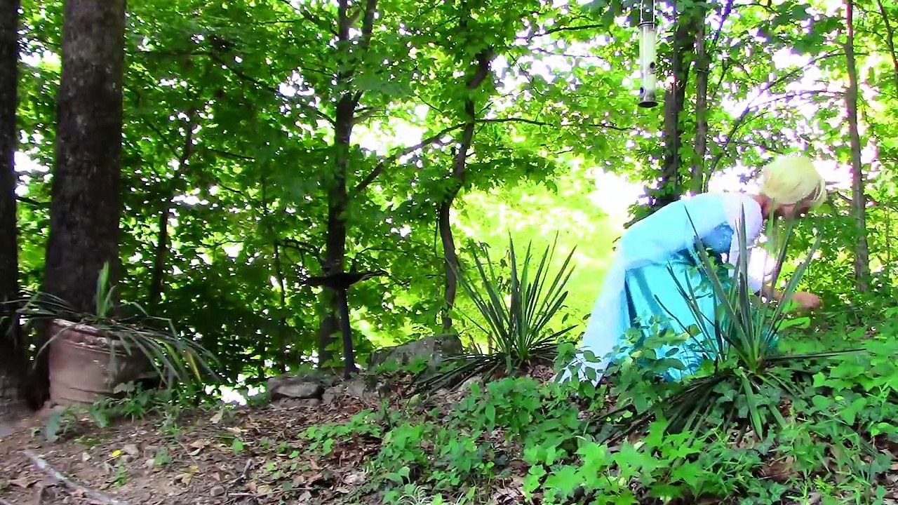 Elsa Eats Bug! Spiderman Dog vs Joker Prank Compilation Superhero Movie In Real Life In 4K