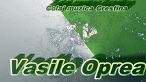 Colaj cantari selectate Vasile Oprea - 1 ora de muzica crestina!