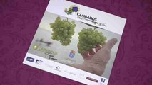 Cambados es la Ciudad Europea del Vino 2017