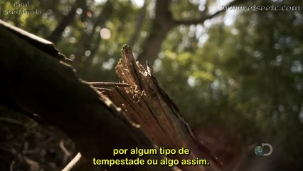 Mistérios Alienígenas T01E06 HD - A Queda de kecksburg