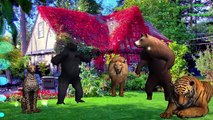 Tiger ,Lion ,Gorilla ,Cheetha, Bear Finger Family Nursery Rhymes | 3D Animation Songs