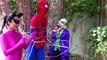 Frozen Elsa, Spiderman & Hulk, Elsas face changes colors? w/ Catwoman, Joker, pink spidergirl