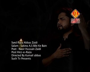 Sakina a.s Bibi Kay Bain Irfan | Soz-o-Salam | Syed Raza Abbas Zaidi