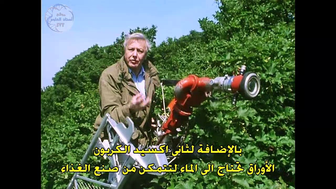 ظاهرة النتح