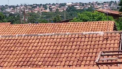 Como tirar goteiras da caminheira de casa