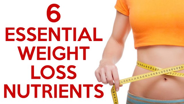 6 Essential Nutrients for Weight Loss! Diet Tips, Health, Green Superfood Powder, Supplements