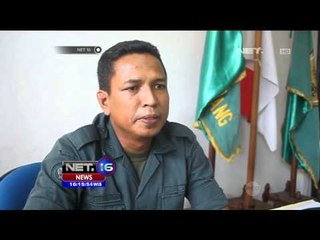 Kebakaran Lahan di Bontang, Tiga Orangutan Tewas Terbakar - NET16