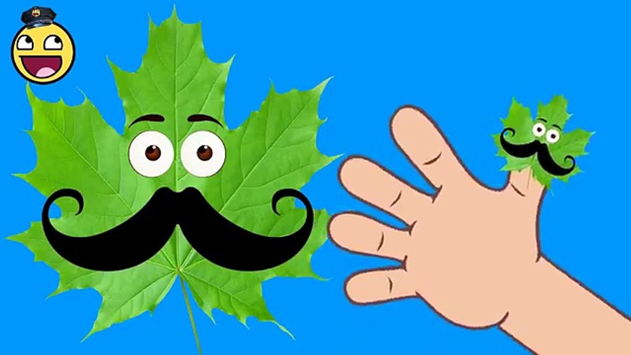 Baby Song | Funny Maple Leaf Finger Family | Father Finger Where Are You