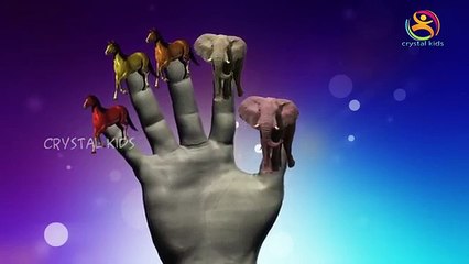 Elephant Finger Family Nursery Children English Animated 3d Animals animated rhymes
