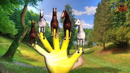 3D Animation Lion Finger Family | Finger Family Songs Collection | English Nursery Rhymes