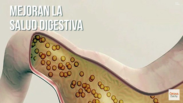 Razones por las que deberías comer más cerezas