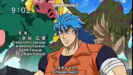 Toriko (Series Programas y Dibujos de nuestra infancia)