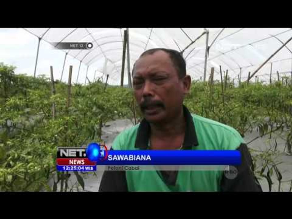 Hadapi Musim Ekstrim, Petani Gunakan Metode Rain Shelter - NET12