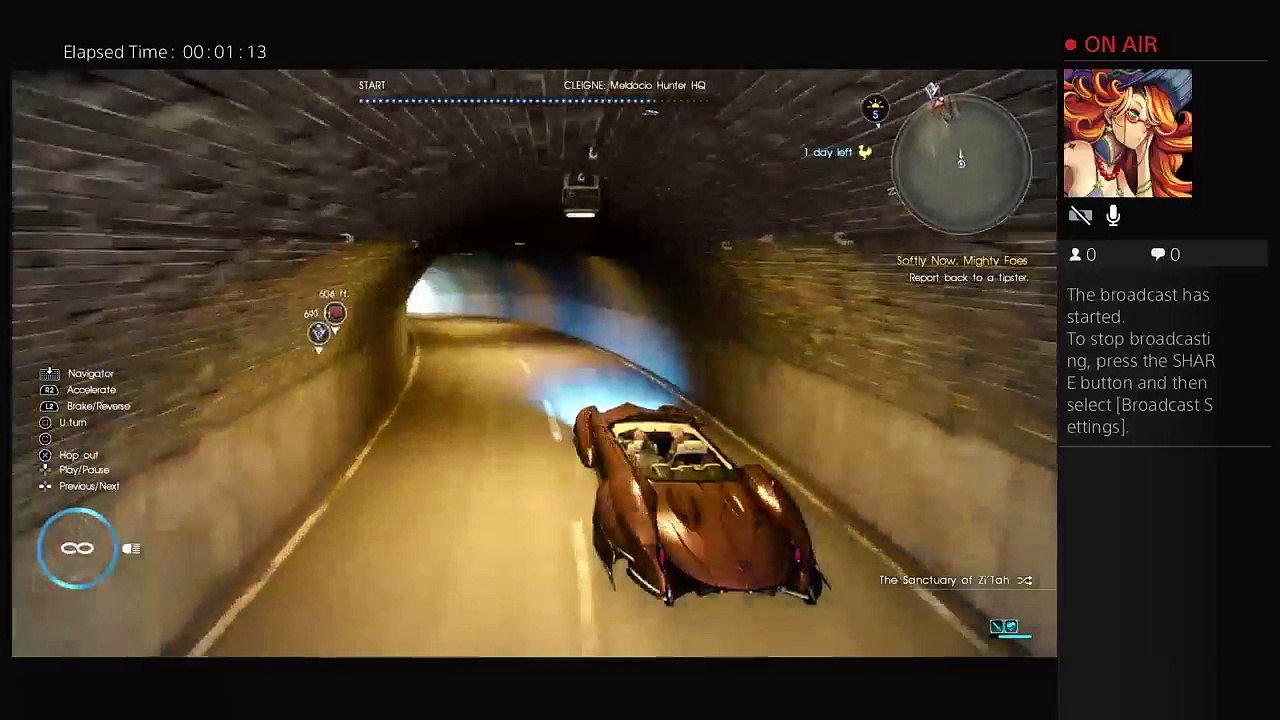 FFXV Hunts (3)