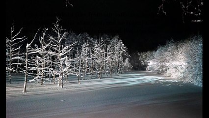 FREE Download free window media player 13 windows 7 (fileS3MMG)