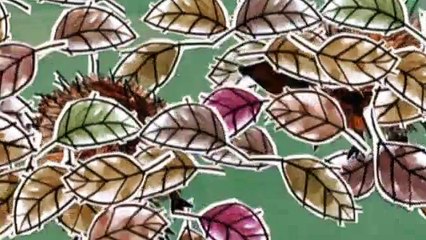 Charlie and Lola S2E20 Can You Maybe Turn the Light On