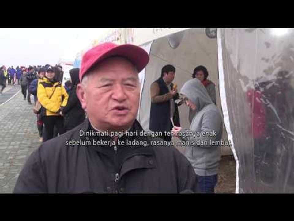 Kelezatan Kuliner Kue khas Jeju - NET12