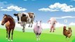 Finger Family Farm Animals Cartoon Rhymes - Cow Horse Chiken Pig Sheep - Animals Daddy Finger Song