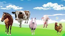 Finger family farm animals rhymes cow horse chicken pig sheep finger family nursery rhymes