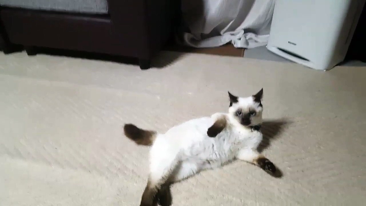 A luta comeca de uma hora para outra