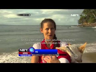 Anjing Kesayangan Ikuti Lomba Selancar - NET12