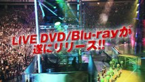 HiGH & LOW THE LIVE 〜Teaser〜VOL.1 - Downloaded from youpak.com