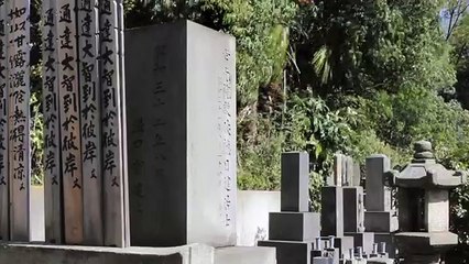 Alegoria della prudenza (João Pedro Rodrigues, 2013)