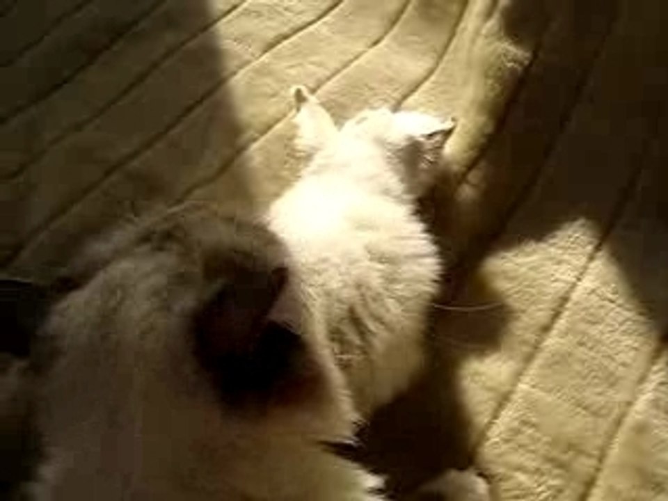 Vie de famille 05-05-07