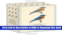 PDF [FREE] DOWNLOAD Sibley Backyard Birding Postcards: 100 Postcards [DOWNLOAD] Online