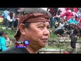 Surga Liburan Domba Garut - NET12