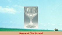 Baccarat Massena White Wine Glass 3 4d248988