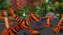 Ringa ringa Roses Nursery 3d Rhyme | Spider Man Dancing with Tigers | kids song