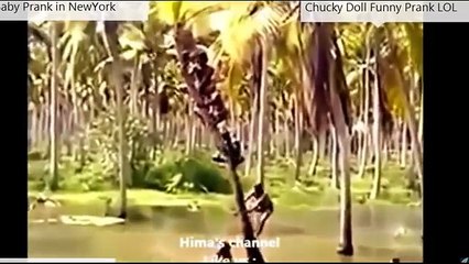It Happens Only In India_Best Funny Viral Videos Of 2016 And Unseen Viral Videos