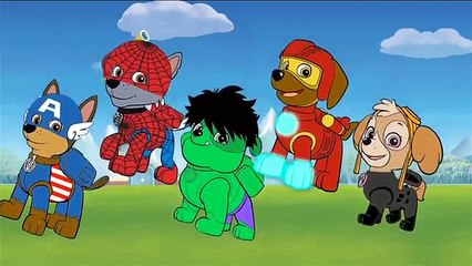Paw Patrol Avengers Super Heroes Finger Family Animation Nursery Rhyme Song For Kids .