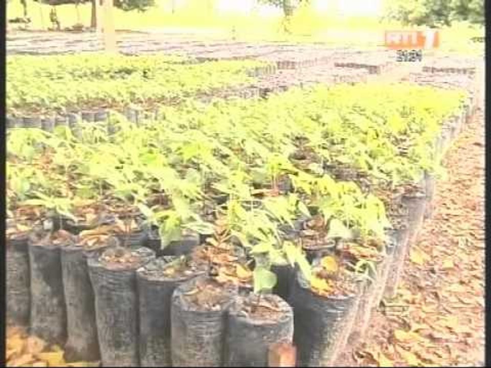 Bouaké: L'administration forestière s'inquiète de l'état des 25 forets classées de la zone