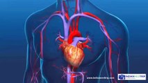 Aortic Valve Replacement Procedure - An Open Heart Surgery!