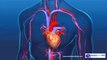 Aortic Valve Replacement Procedure - An Open Heart Surgery!