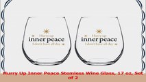 Hurry Up Inner Peace Stemless Wine Glass 17 oz Set of 2 405edcb2
