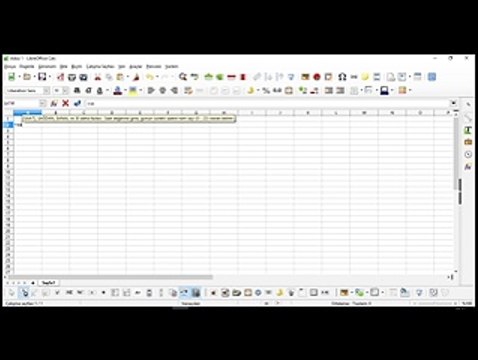16 Ders-LibreOffice Satır ve Sütun fonksiyonları_x264