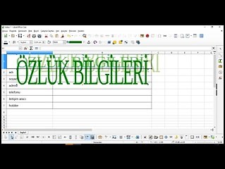 24 Ders-LibreOffice Yazdırma alanı tanımlama ve PDF dosyasında düzenlenebilir alan eklemeyle çıktı alma_x264
