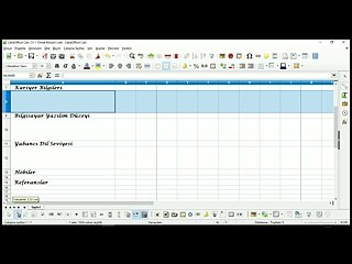 41 Ders-LibreOffice Calc CV-1 Örnek Bölüm1_x264