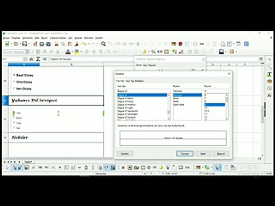 43 Ders-LibreOffice Calc CV-1 Örnek Bölüm 3_x264
