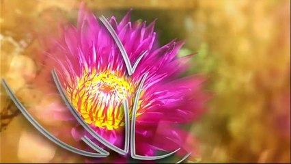 ตะวันส่องธรรม TawanSongTham _ วัดปทุมวัน พระนครศรีอยุธยา _ 09-02-60 _ TV3 Official-kpKRS6F7A-A