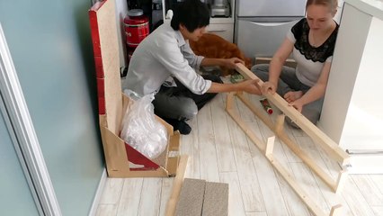 Haku gets a new scratch board _ Cat Scratch Pad DIY-61rDAJEATm0