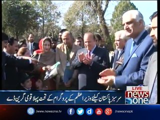 National Green Day being celebrated today