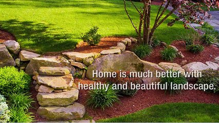 Get Rid Of Troublesome Weeds