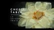 Chef's Table - Saison 3  Bande-annonce officielle Trailer VOST Netflix [Full HD,1920x1080p]